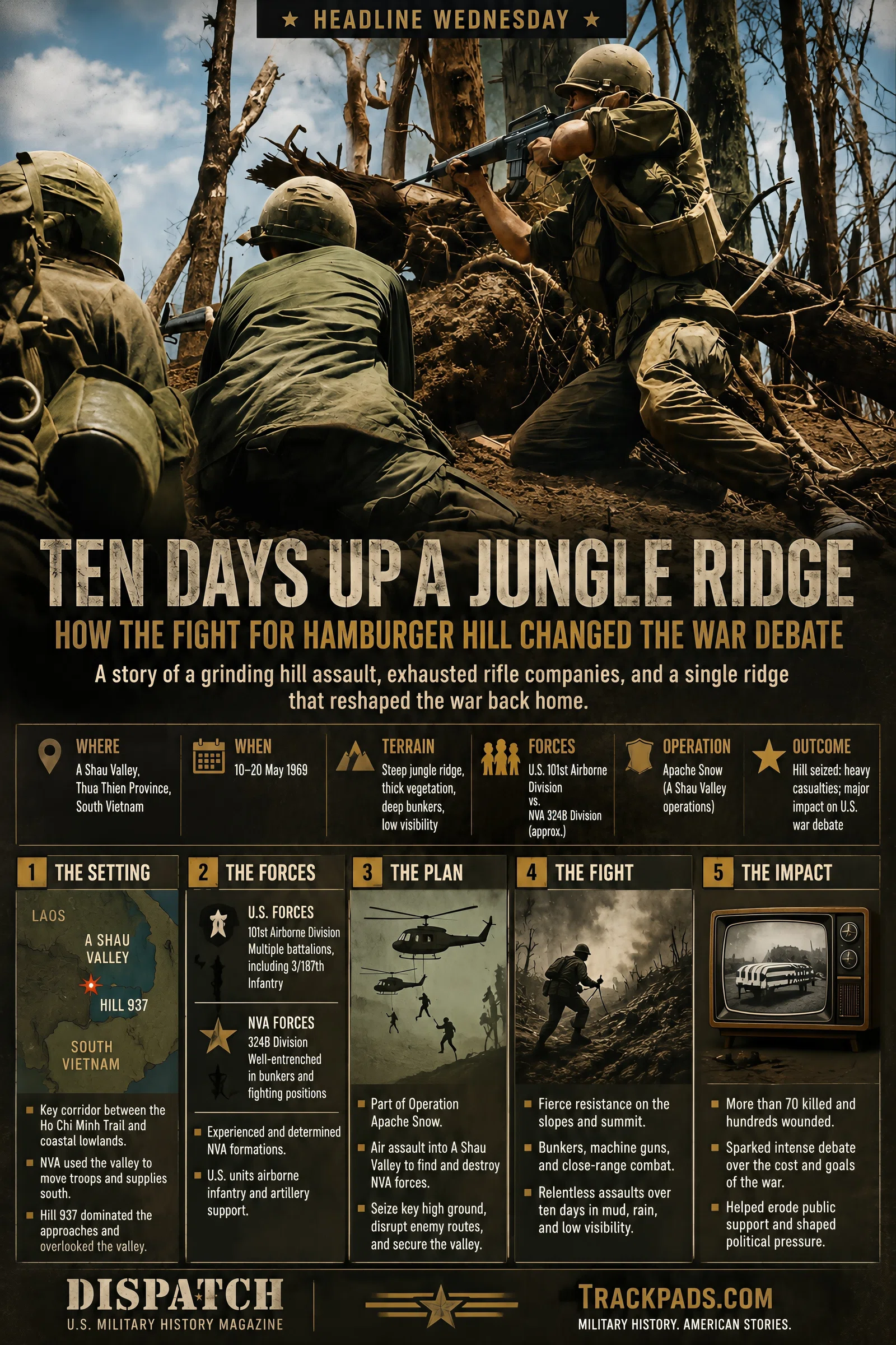 Infographic summarizing Ten Days Up a Jungle Ridge: How the Fight for Hamburger Hill Changed the War Debate